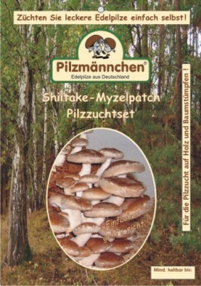 Shiitake Pilzbrut Myzelpatch