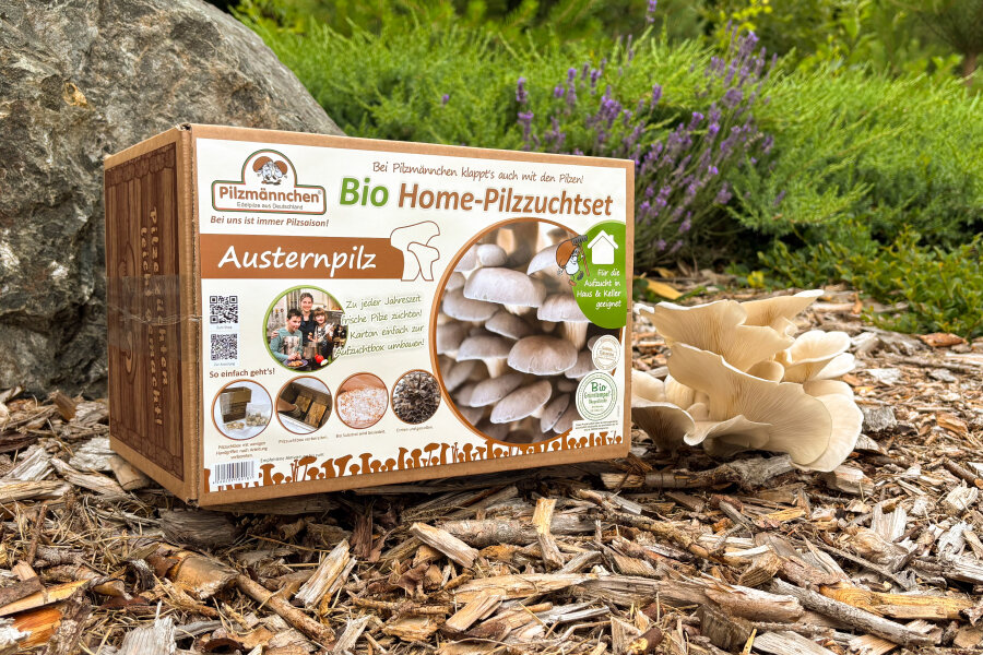 Bio Austernpilz Pilzzuchttüte - Pilze Selbst Züchten, Für Haus & Garten, In Deutschland Hergestellt