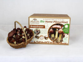 Home Pilzzuchtsets Bio