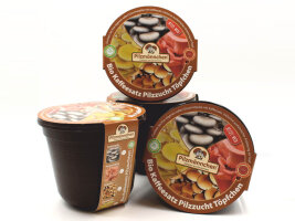 Pilzzucht Sets für Kaffeesatz Bio