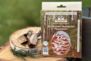 Myzelpatch Pilzzucht Set Bio
