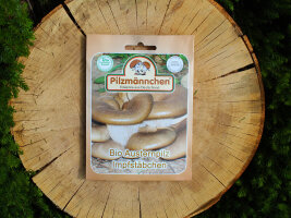 Impfstäbchen Pilzbrut Bio