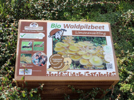 Pilzbeete & Bio Garten Sets