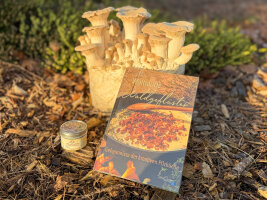 Geschenk-Sets & Gutscheine