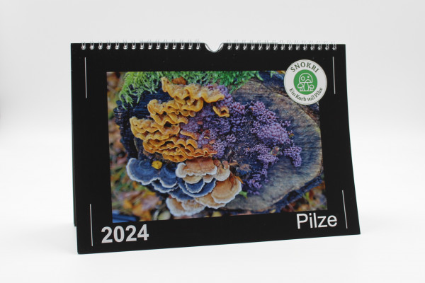 Pilze 2024 Wandkalender