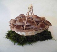  Ausgefallene Ostergeschenke – Das bringt der Osterhase  - Pilze als perfektes Ostergeschenk