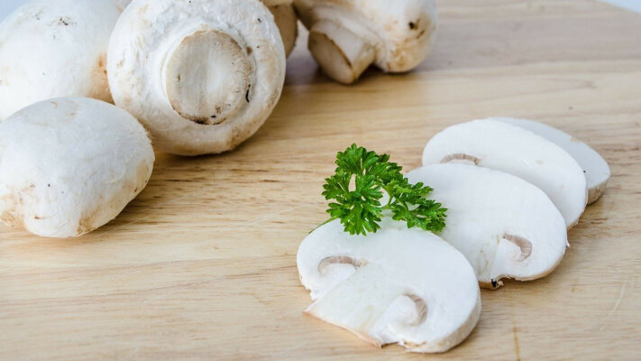 Champignon-Carpaccio - Champignon-Carpaccio