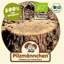 Baumstumpfweg mit Plus-Effekt für Laub- & Nadelhölzer