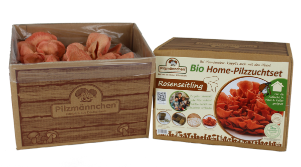 Bio Austernpilz Pilzzuchttüte - Pilze Selbst Züchten, Für Haus & Garten, In Deutschland Hergestellt