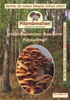 Stockschwämmchen-Myzelpatch Pilzzuchtset BIO