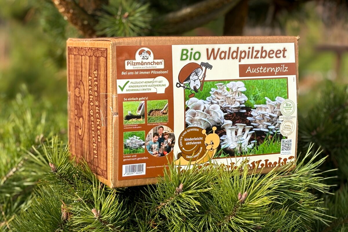Bio Austernpilz Pilzzuchttüte - Pilze Selbst Züchten, Für Haus & Garten, In Deutschland Hergestellt