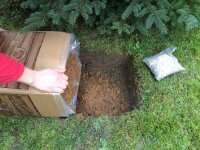 Austernpilz-Bio-Waldpilzbeet