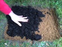 Austernpilz-Bio-Waldpilzbeet