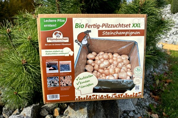 Bio Steinchampignon-Pilzzuchtset