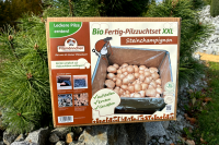 Bio Steinchampignon-Pilzzuchtset