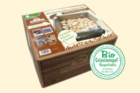 Bio Steinchampignon-Pilzzuchtset