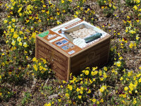 Bio Steinchampignon-Pilzzuchtset