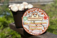 Champignon-Pilzzucht-Töpfchen BIO