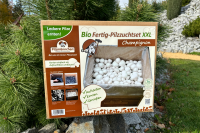Bio Champignon-Pilzzuchtset