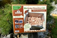 Bio-XXL-Champignon-Pilzzucht-Set, 2 Boxen im Set, braun + weiß