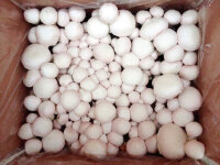 Bio-XXL-Champignon-Pilzzucht-Set, 2 Boxen im Set, braun + weiß