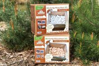 Bio-XXL-Champignon-Pilzzucht-Set, 2 Boxen im Set, braun + weiß