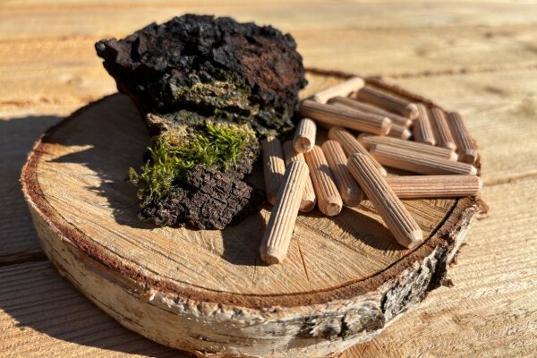 Chaga- Impfstäbchen/Impfdübel BIO