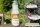 Flacher Lackporling-Pilzbrut BIO 1 Liter