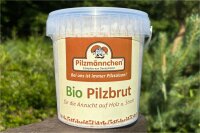 Flacher Lackporling-Pilzbrut BIO 1 Liter...