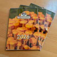 Pilzkalender 2026, A4 -B Ware-