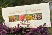 Geschenk-Gutschein