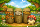 Pilz-Lehrgang