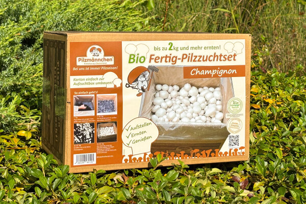 Bio Champignon-Pilzzuchtset Normalpackung 5 kg   Angebot