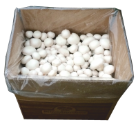 Bio Champignon-Pilzzuchtset Normalpackung 5 kg   Angebot