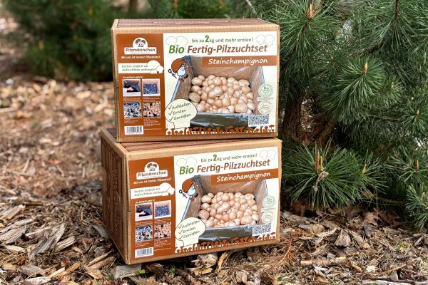 Bio Steinchampignon-Pilzzuchtset Normalpackung 5 kg