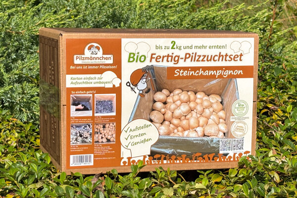 Bio Steinchampignon-Pilzzuchtset Normalpackung 5 kg