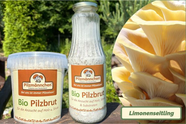 Limonenpilz-Pilzbrut BIO 1 Liter