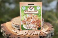 Shiitake-Impfstäbchen BIO