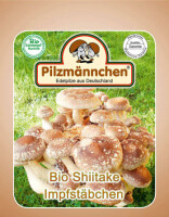Shiitake-Impfstäbchen BIO