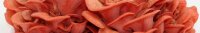 Rosenseitling-Pilzbrut BIO 1 Liter