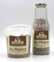 Reishi-Pilzbrut BIO 1 Liter