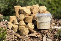 Braunkappen-Bio-Waldpilzbeet