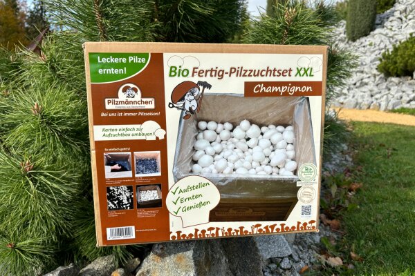 Bio Champignon-Pilzzuchtset XXL Großpackung 10 kg