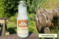 Schopftintling-Pilzbrut BIO