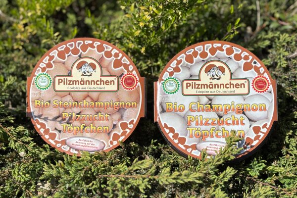 BIO Champignon-Pilzzucht-Töpfchen