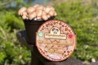 BIO Champignon-Pilzzucht-Töpfchen