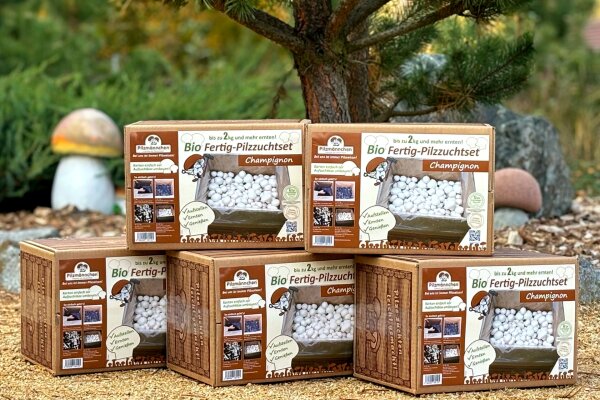 Super Angebot - 5 x weiße BIO Champignon-Pilzzucht Boxen