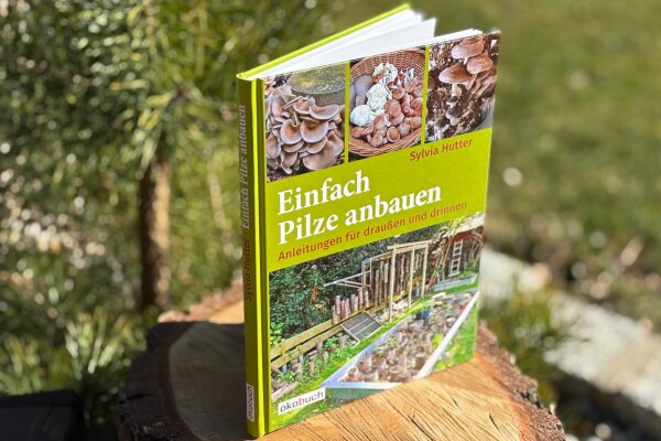 Einfach Pilze anbauen