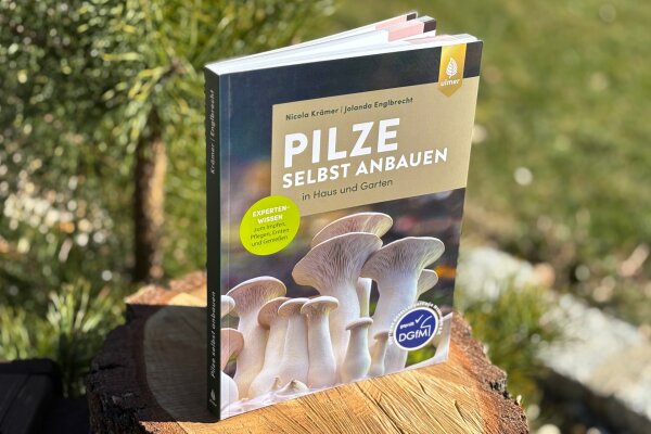Pilze selbst anbauen in Haus und Garten