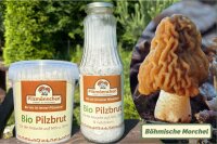 NEU! Böhmische Morchel-Pilzbrut BIO